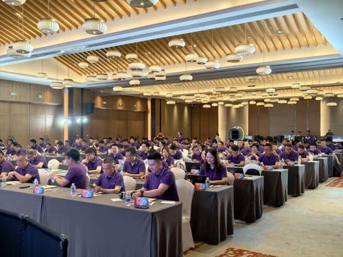 巳海昇屏,e立潮頭 2025年aoc顯示器全國操盤手大會(huì)隆重召開